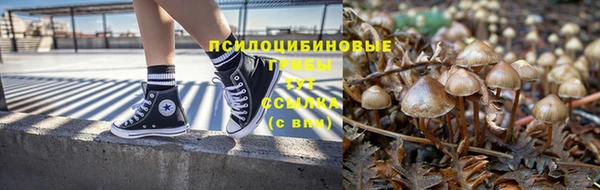 мяу мяу кристалл Алексин